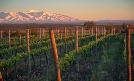 MENDOZA - HOTEL CORDN DE PLATA *** 2020