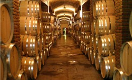 MENDOZA - HOTEL CORDN DE PLATA *** 2020