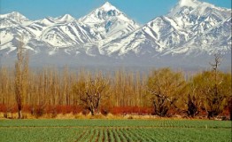 MENDOZA - HOTEL PRINCESS *** 2020