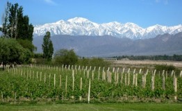 MENDOZA - HOTEL AMERIAN EXECUTIVE***** 2020